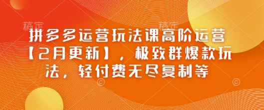 拼多多运营玩法课高阶运营【2月更新】，极致群爆款玩法，轻付费无尽复制等-鼎铸网