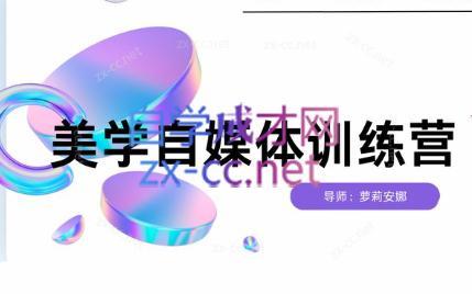 安娜·美学自媒体IP系统课-鼎铸网