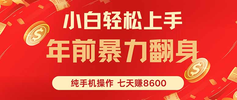 七天狂赚8600，小白纯手机操作，日入1000+-鼎铸网