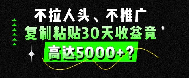 不拉人头、不推广，复制粘贴30天收益竟高达5000+？-鼎铸网