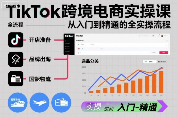 TikTok跨境电商实操课，从入门到精通的全实操流程-鼎铸网