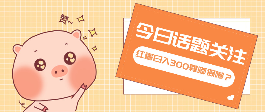 全新红薯浏览，打破常规 双端操作，每天运行6小时，让你获得工作以外的…-鼎铸网