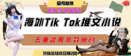海外tiktok小说推文暴力项目，高停留率，高转化率，上手后一天搞顿饭钱不是问题-鼎铸网
