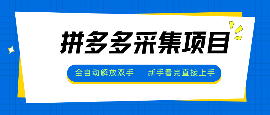 拼多多采集项目，全自动解放双手，单号日入30+-鼎铸网