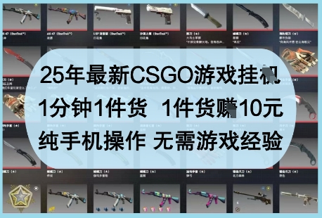 25年最新CSGO游戏挂G，1分钟1件货，1件货挣10元，纯手机操作，无需游戏经验【揭秘】-鼎铸网