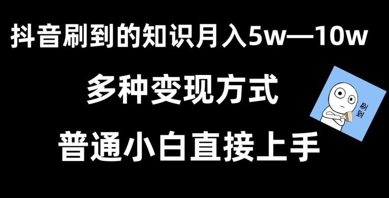 抖音刷到的知识，每天只需2小时，日入2000+，暴力变现，普通小白直接上手【揭秘】-鼎铸网
