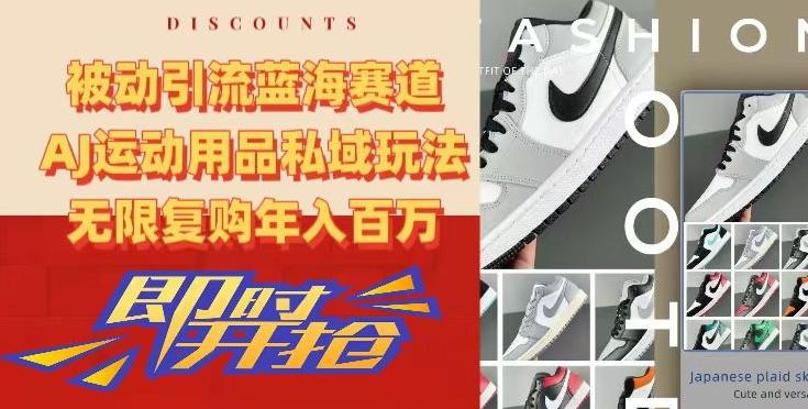 被动引流蓝海赛道，AJ运动用品私域玩法，无限复购年入百万【揭秘】-鼎铸网