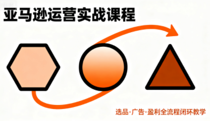 毕方电商·亚马逊全站会员课程(更新3月)-鼎铸网