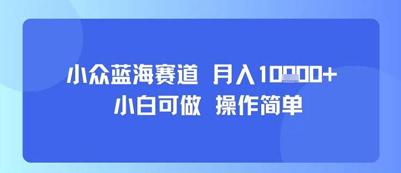 小众蓝海赛道，小白可做，操作简单，每天30分钟，月入1W+-鼎铸网