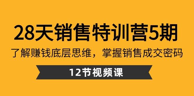 28天销售特训营5期：了解赚钱底层思维，掌握销售成交密码（12节课）-鼎铸网