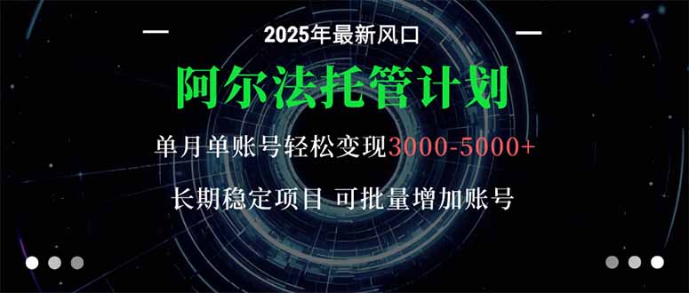 阿尔法托管计划 单账号月入3000-5000，长期稳定项目，新手小白轻松上手。-鼎铸网
