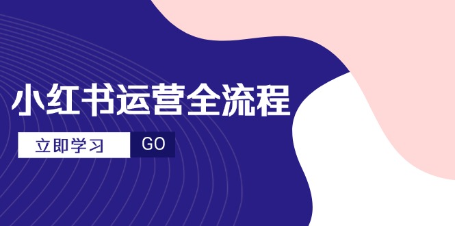 小红书运营全流程，爆款选题文案，视频制作技巧，进阶达人宝典-鼎铸网