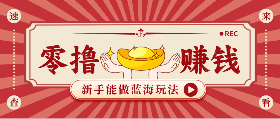 新手也能变现的蓝海玩法，一个人人能做的项目，需求量极大日入300+！-鼎铸网
