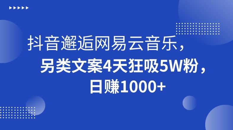 抖音邂逅网易云音乐，另类文案4天狂吸5W粉，日赚1000+【揭秘】-鼎铸网
