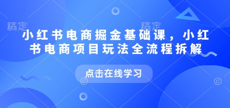 小红书电商掘金课，小红书电商项目玩法全流程拆解(更新5月)-鼎铸网