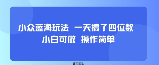 小众蓝海玩法 一天搞了四位数 小白可做 操作简单-鼎铸网