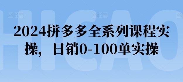 2024拼多多全系列课程实操，日销0-100单实操【必看】-鼎铸网