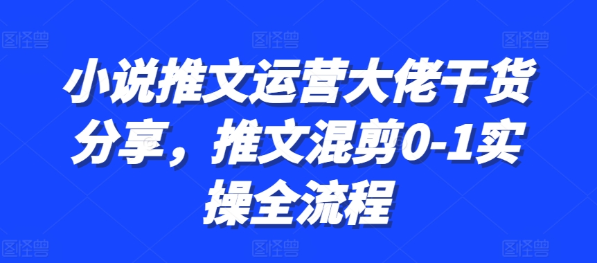 小说推文运营大佬干货分享，推文混剪0-1实操全流程-鼎铸网