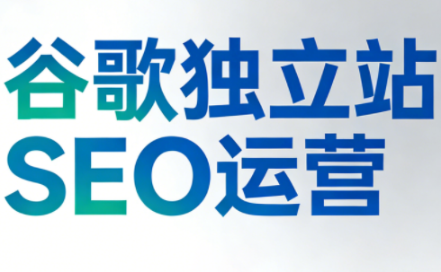 谷歌独立站SEO运营(更新2026)-鼎铸网