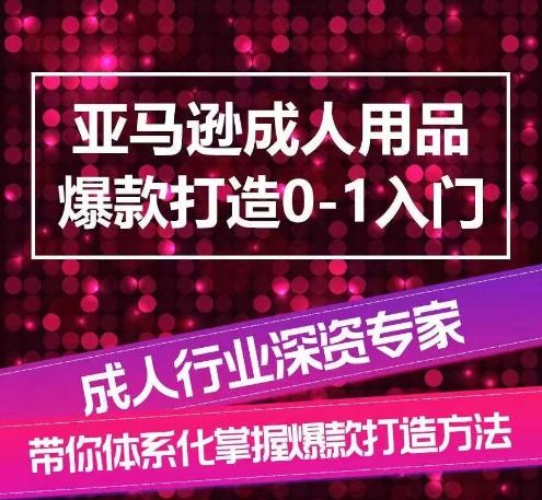 亚马逊成人用品爆款打造0-1入门，系统化讲解亚马逊成人用品爆款打造的流程-鼎铸网