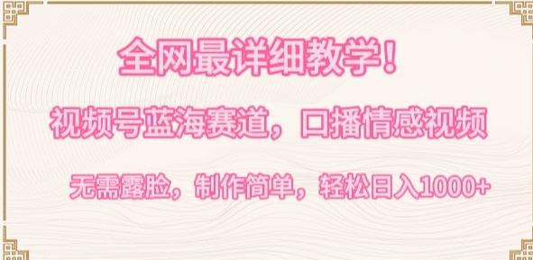 全网最详细教学，视频号蓝海赛道，口播情感视频，无需露脸，制作简单，轻松实现日入1000+【揭秘】-鼎铸网