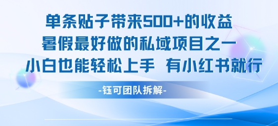 单条贴子带来5张的收益，暑假最好做的私域项目之一，小白也能轻松上手，有小红书就行-鼎铸网