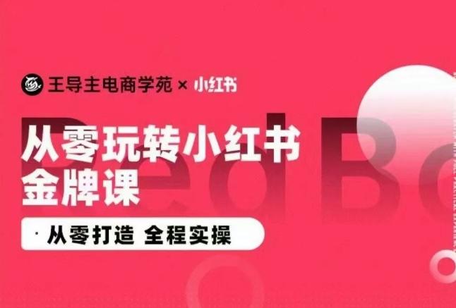 王导主·小红书电商运营实操课，​从零打造  全程实操-鼎铸网
