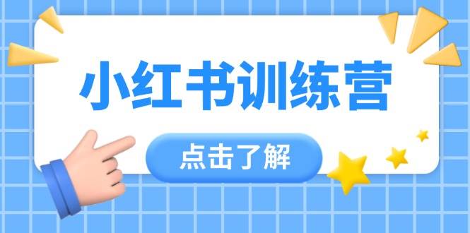 小红书训练营，助小白入门，掌握技巧变达人，课程实操又全面(12节课)-鼎铸网