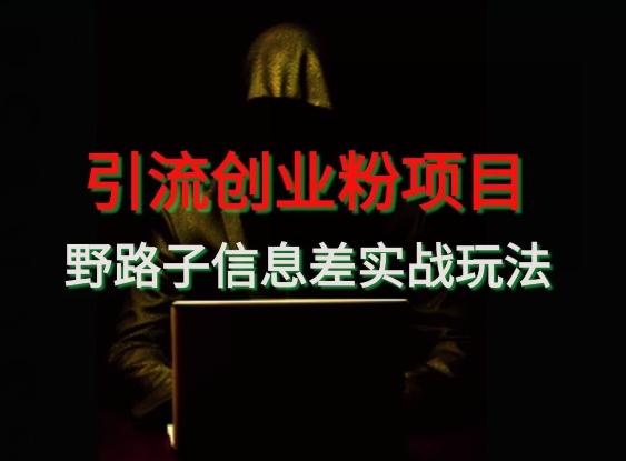 【引流创业粉】野路子信息差玩法实战教学-鼎铸网