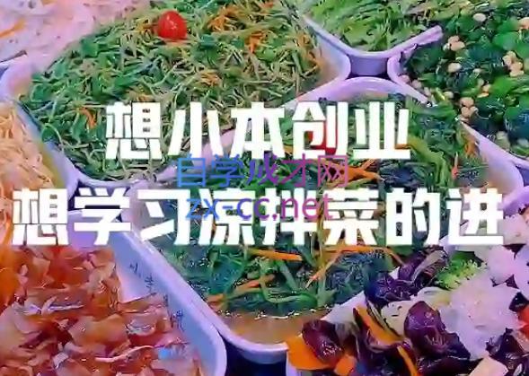 李记·精品凉拌菜系列热卤系列教程-鼎铸网