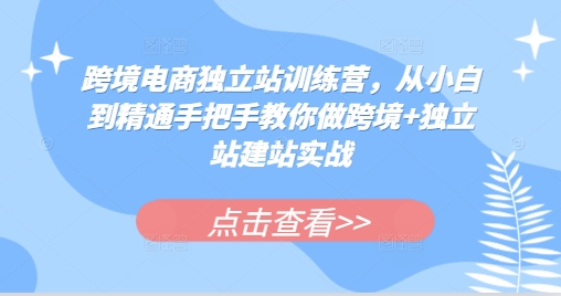 跨境电商独立站训练营，从小白到精通手把手教你做跨境+独立站建站实战-鼎铸网