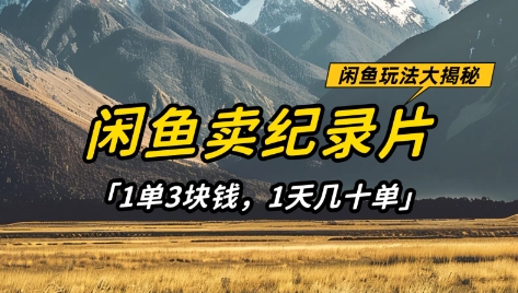 闲鱼卖纪录片1单3块钱，1天几十单，项目稳定有潜力-鼎铸网