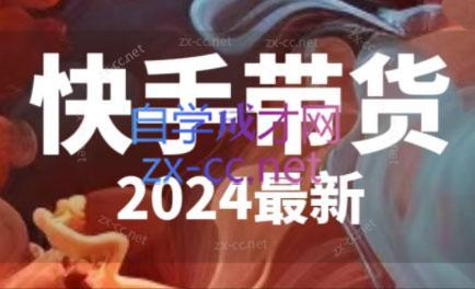 快手带货(2024最新)-鼎铸网