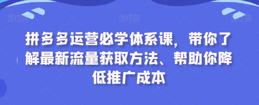 拼多多运营必学体系课，带你了解最新流量获取方法、帮助你降低推广成本-鼎铸网
