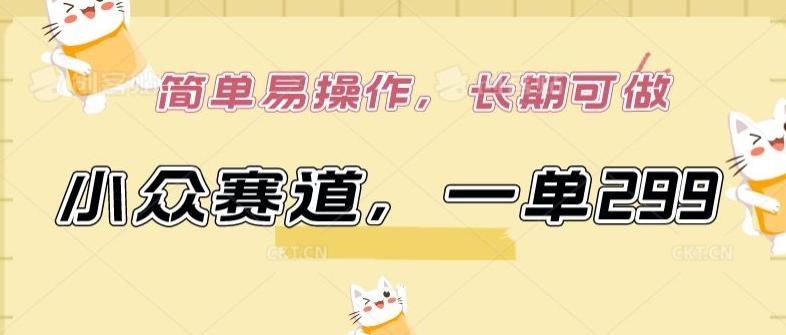 小众赛道，一单299.简单易操作，长期可做【揭秘】-鼎铸网