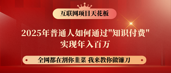 镰刀训练营超级IP合伙人，25年普通人如何通过“知识付费”年入百万！-鼎铸网