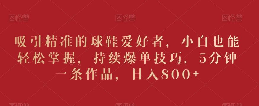 吸引精准的球鞋爱好者，小白也能轻松掌握，持续爆单技巧，5分钟一条作品，日入800+【揭秘】-鼎铸网