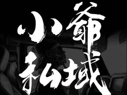 小爷·私域项目操盘手-鼎铸网