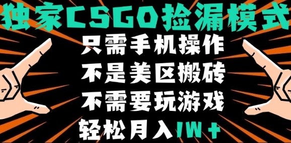 CSGO自动捡漏项目，最新独家玩法，不是美区搬砖，不需要了解和玩游戏，新手小白轻松月入1W+【揭秘】-鼎铸网