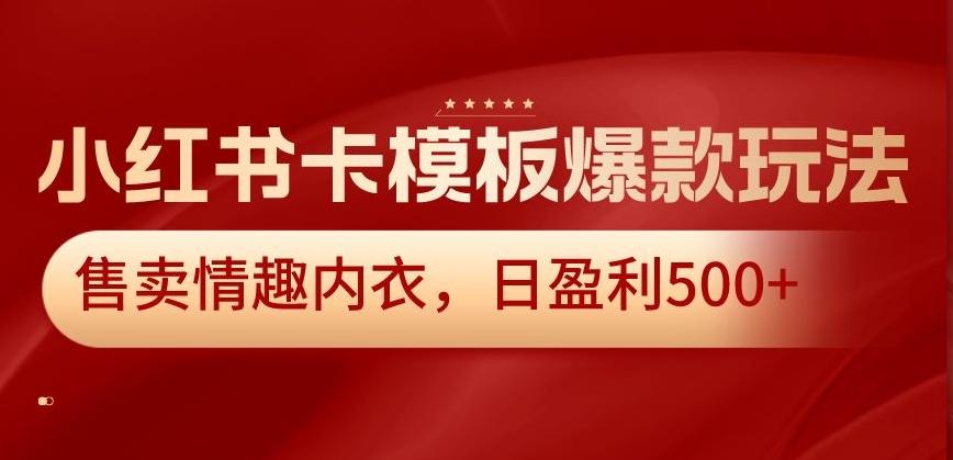 小红书卡模板爆款玩法，售卖情趣内衣，日盈利500+【揭秘】-鼎铸网
