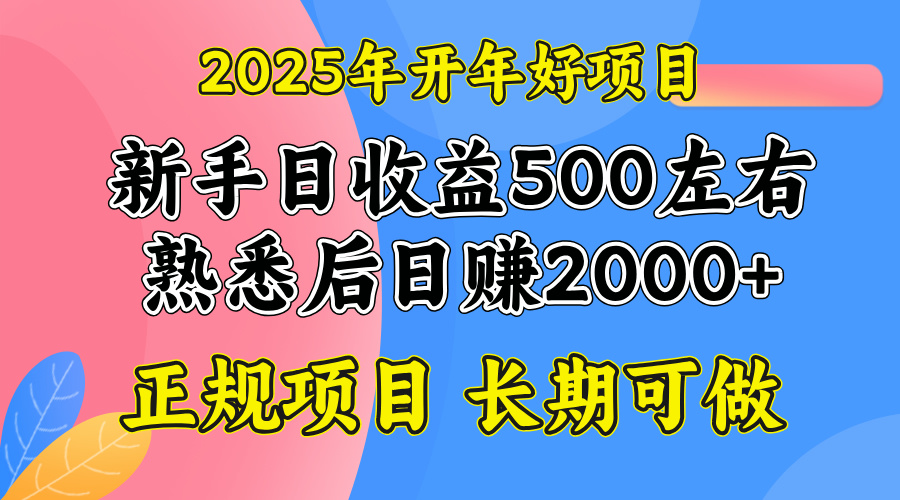 2025开年好项目，单号日收益2000左右-鼎铸网