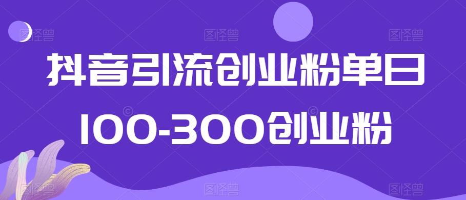 抖音引流创业粉单日100-300创业粉【揭秘】-鼎铸网