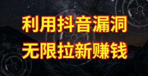利用抖音链接漏洞，无限拉新赚钱【漏洞原理+操作流程】【揭秘】-鼎铸网