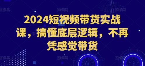2024短视频带货实战课，搞懂底层逻辑，不再凭感觉带货-鼎铸网