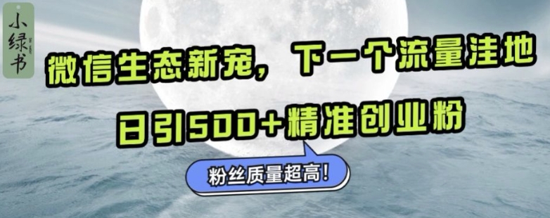 微信生态新宠小绿书：下一个流量洼地，日引500+精准创业粉，粉丝质量超高-鼎铸网
