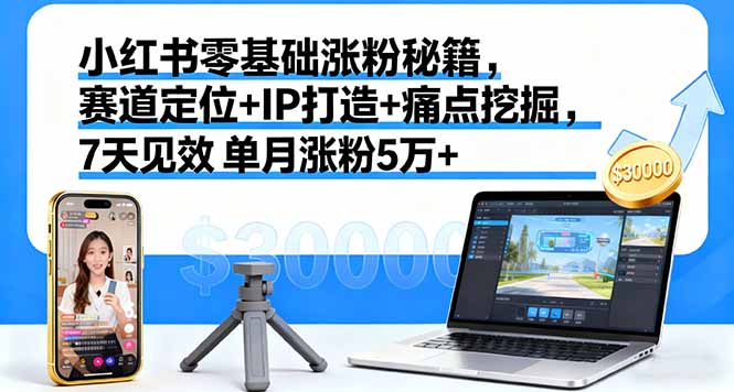 小红书零基础涨粉秘籍，赛道定位+IP打造+痛点挖掘，7天见效 单月涨粉5万+-鼎铸网