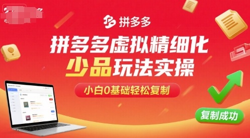 拼多多虚拟精细化少品玩法实操，小白0基础轻松复制-鼎铸网