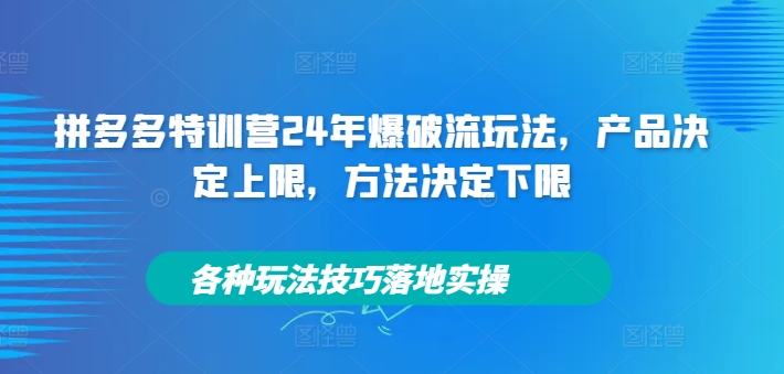 拼多多特训营24年爆破流玩法，产品决定上限，方法决定下限，各种玩法技巧落地实操-鼎铸网