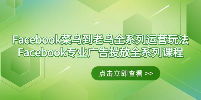 Facebook-菜鸟到老鸟全系列运营玩法+Facebook-专业广告投放全系列课程-鼎铸网