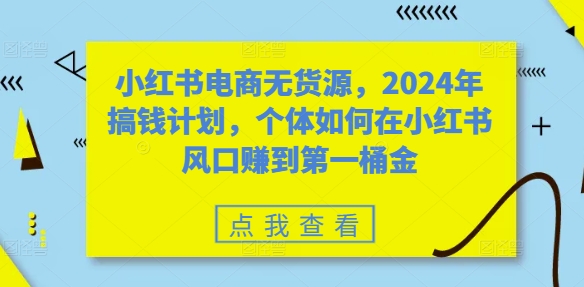 小红书电商无货源，2024年搞钱计划，个体如何在小红书风口赚到第一桶金-鼎铸网